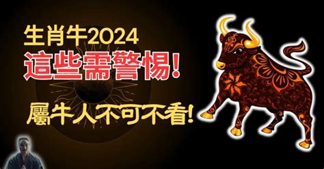 屬牛|生肖牛：屬牛2024年運勢及運程，2024年屬牛人的全年每月運勢。